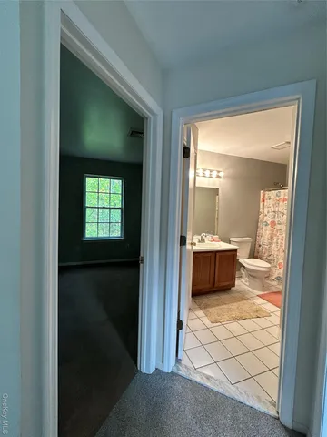 a view of a yard with plants and large trees