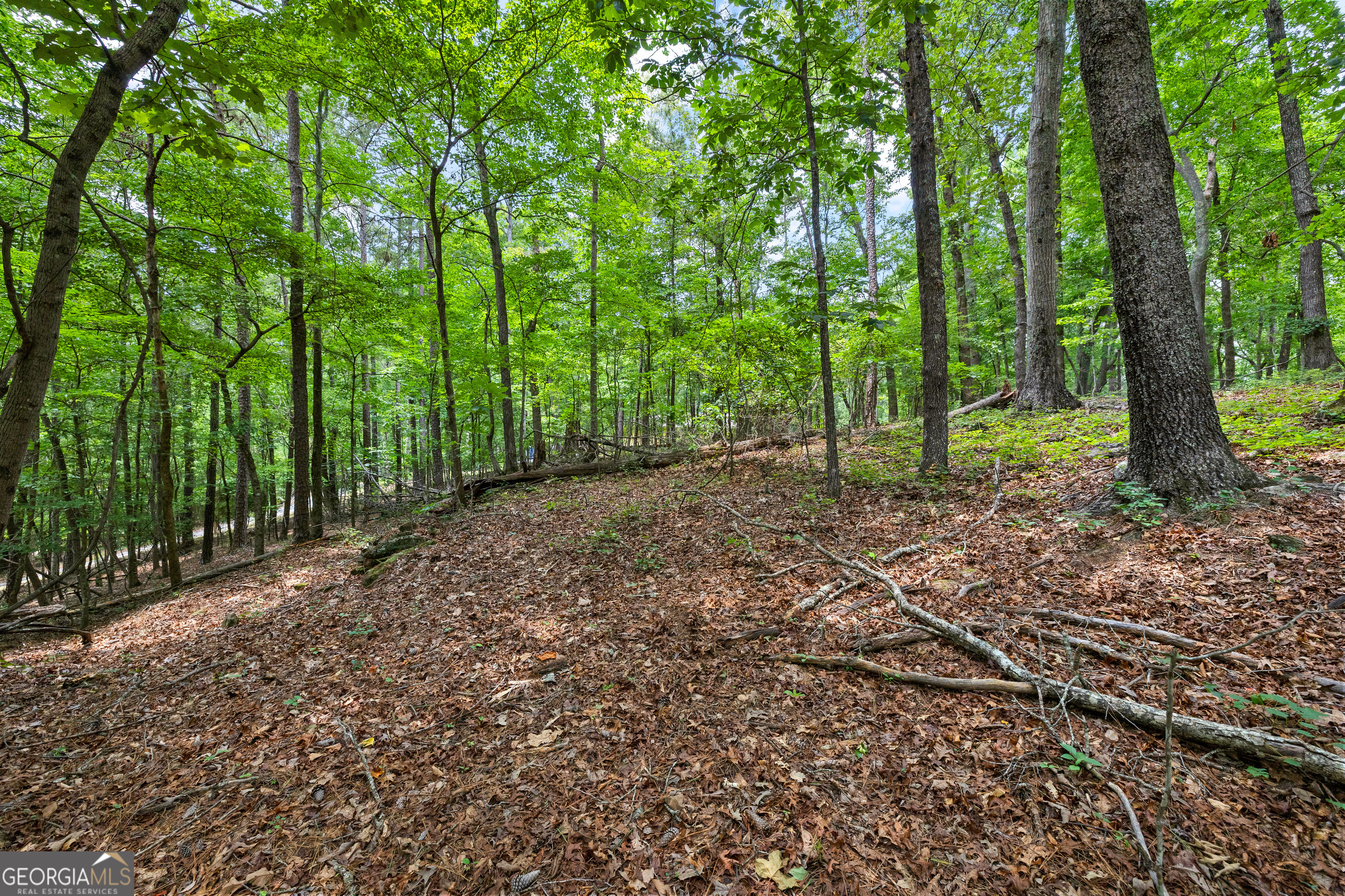 0 Terry Road Fairburn, GA 30213 - Photo 19 of 22