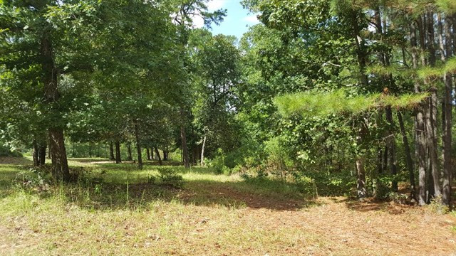 6505 Hidden Sumter, SC 29154 - Photo 1 of 1 Gallery Image 1