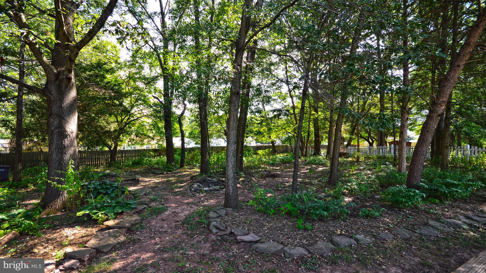 10317 Abbott Road Manassas, VA 20110 - Photo 16 of 25 BACKYARD