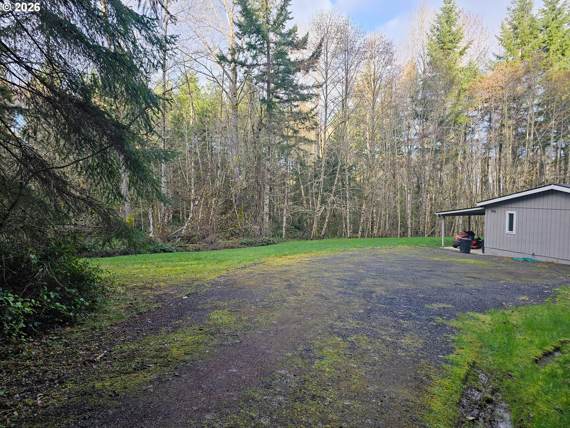 295 Easy Street Road Silverlake, WA 98645 - Photo 9 of 42 a view of a yard with large trees