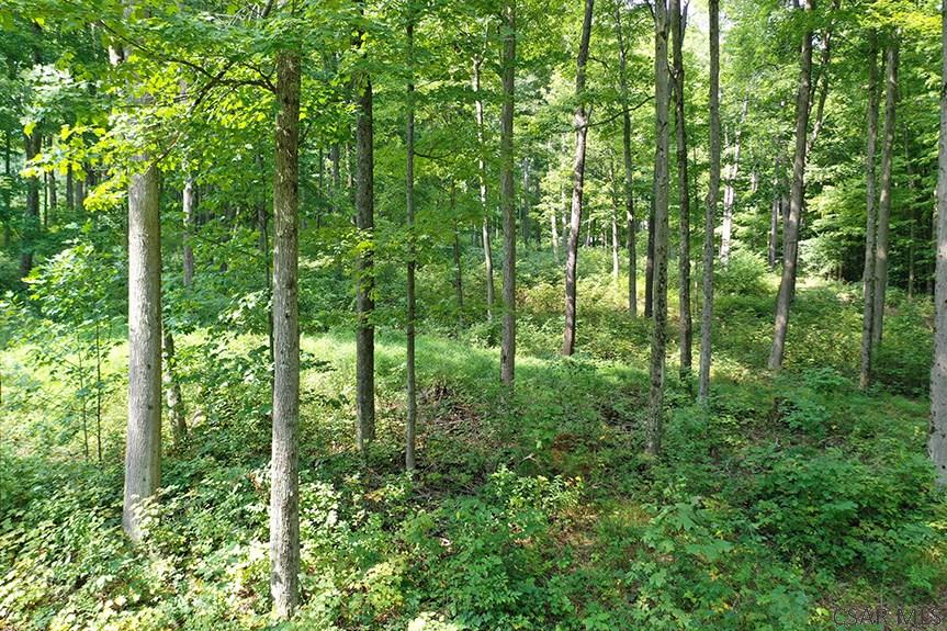 Ridge Road Rockwood, PA 15557 - Photo 6 of 22