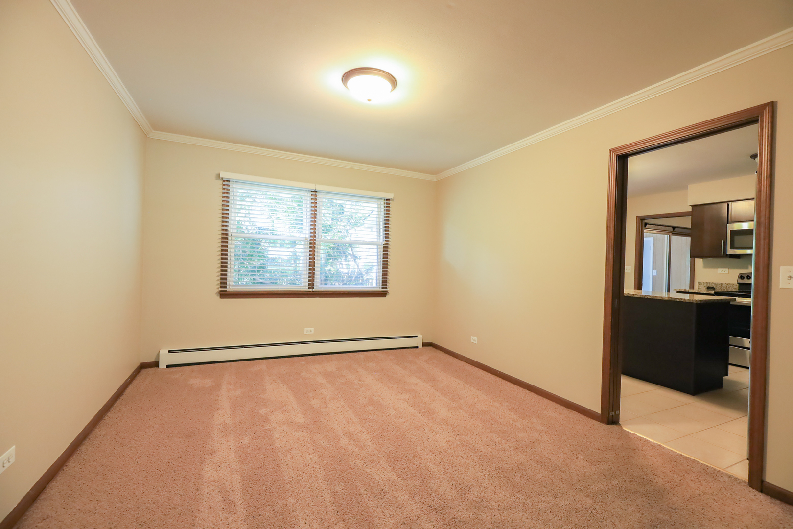 248 Florence Road Inverness, IL 60010 - Photo 5 of 25 an empty room with windows