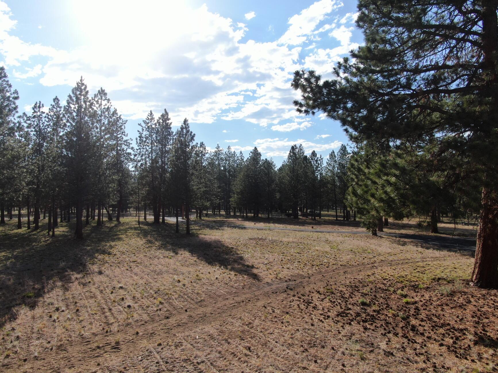 69280 Crooked Horseshoe Road Sisters, OR 97759 - Photo 14 of 25 batch_2021-06-29 17.57.06