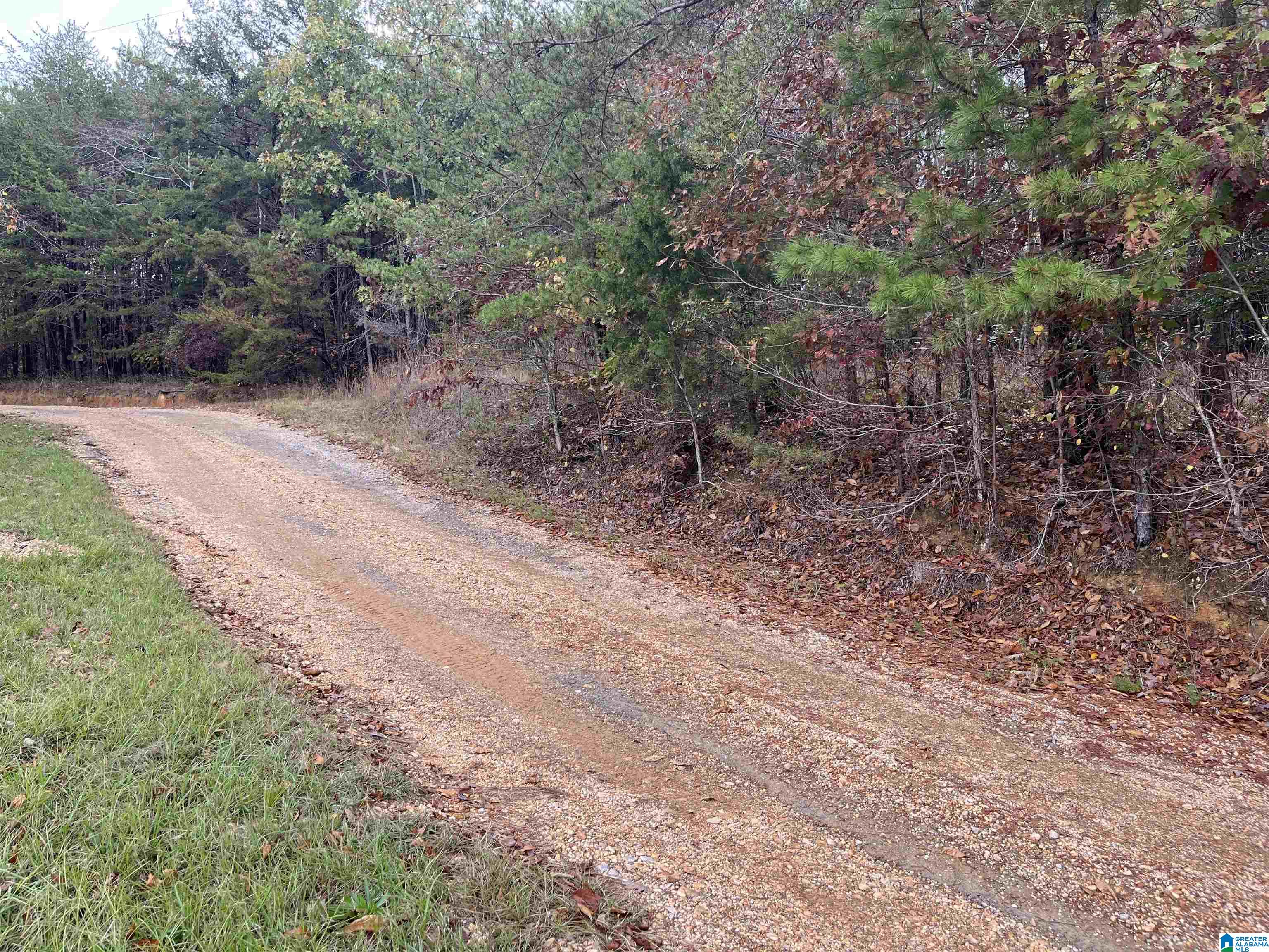 83-acres Byler Road, Unit 83 ACRES Haleyville, AL 35565 - Photo 5 of 19