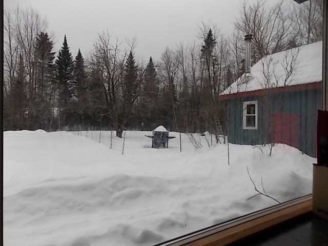 1712 Holt Road Marshfield, VT 05667 - Photo 19 of 24