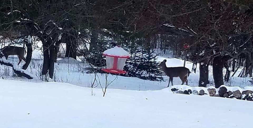 1712 Holt Road Marshfield, VT 05667 - Photo 24 of 24