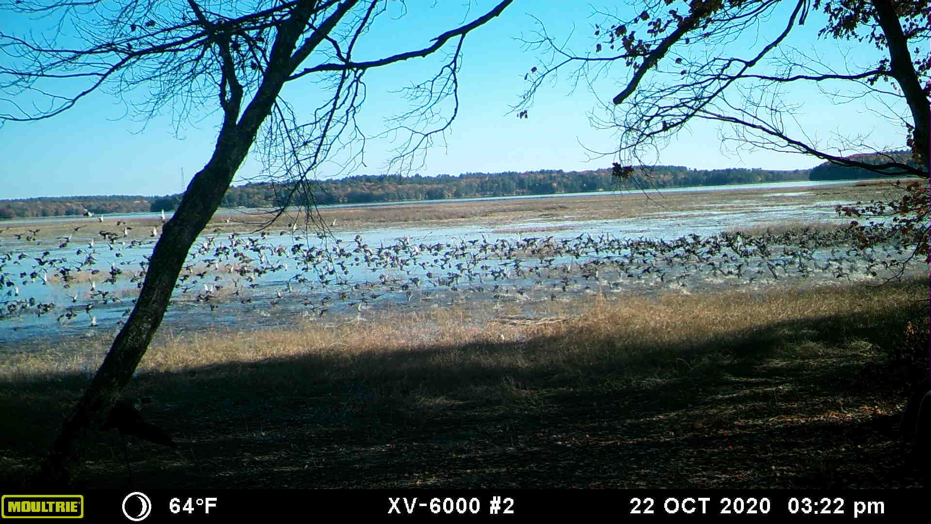 M08-lot19 Center Point Road Bowdoinham, ME 04008 - Photo 73 of 77 Fall Merrymeeting Bay