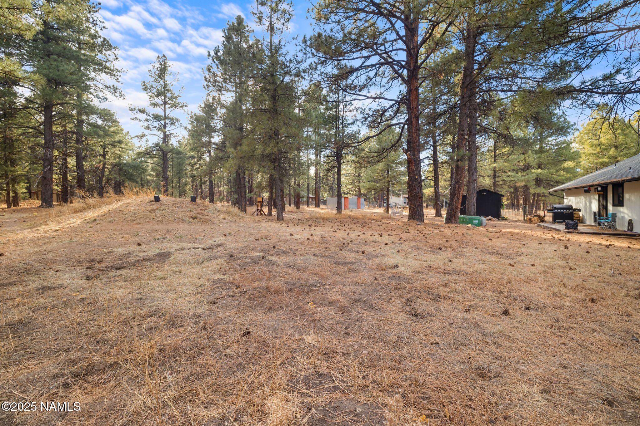 3628 East Pine Cone Drive Williams, AZ 86046 - Photo 18 of 23 a view of road with trees