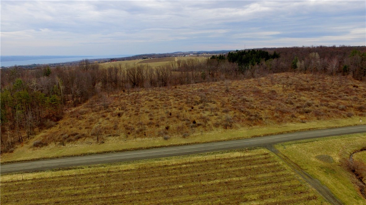 C Tichenor Road Hector, NY 14841 - Photo 1 of 1 Arial photo of the land.
