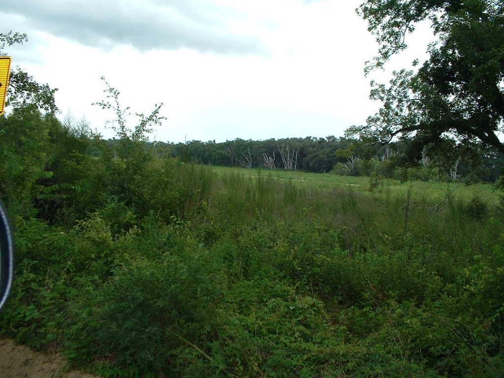 2 Klondike Road Bascom, FL 32423 - Photo 2 of 10