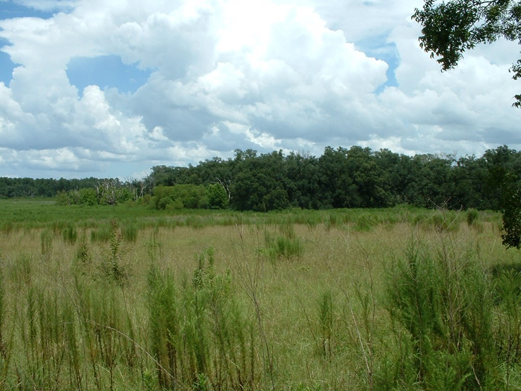 2 Klondike Road Bascom, FL 32423 - Photo 3 of 10