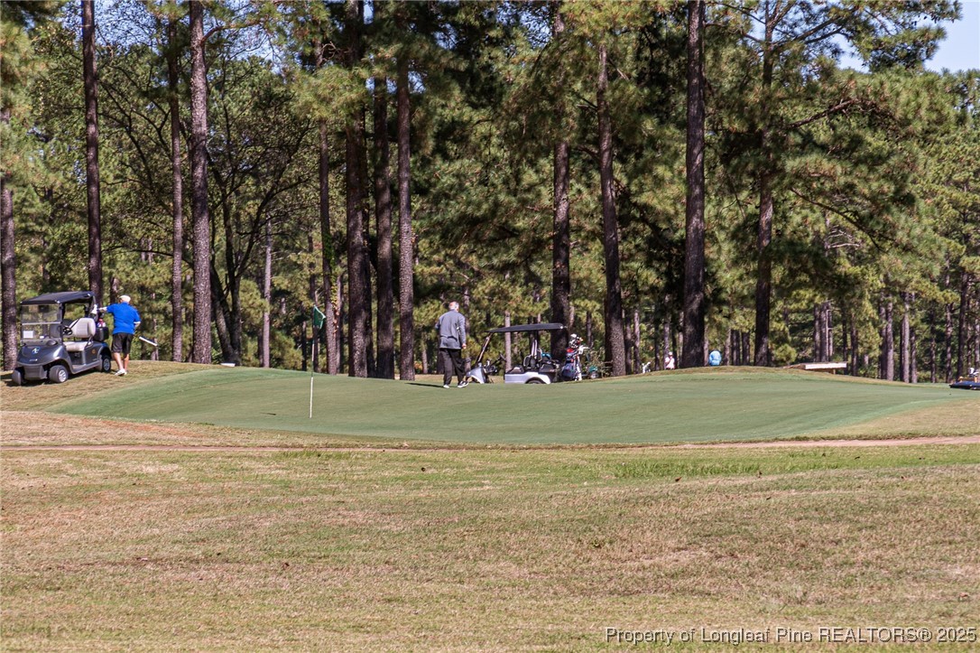 595 Whispering Pines Drive Spring Lake, NC 28390 - Photo 44 of 48 a view of a yard