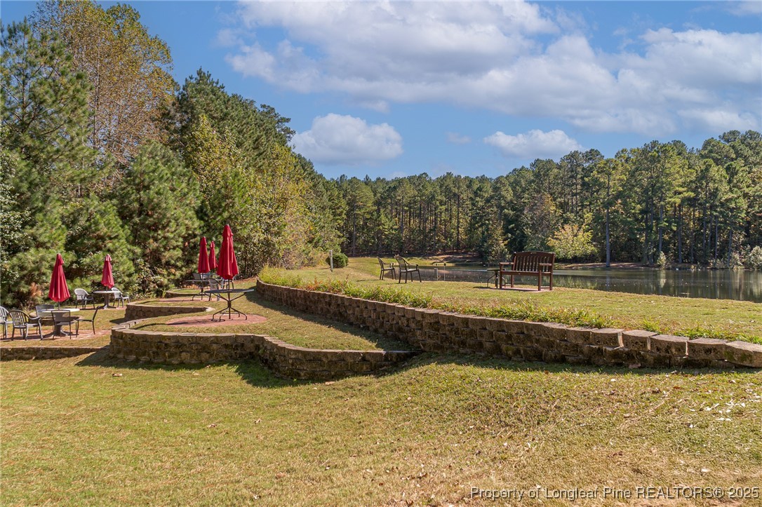 595 Whispering Pines Drive Spring Lake, NC 28390 - Photo 48 of 48 a view of swimming pool with lawn chairs and large trees