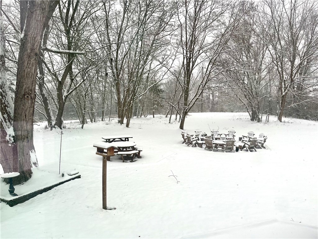 1975 Fitzpatrick Hill Road Montour, NY 14864 - Photo 49 of 50