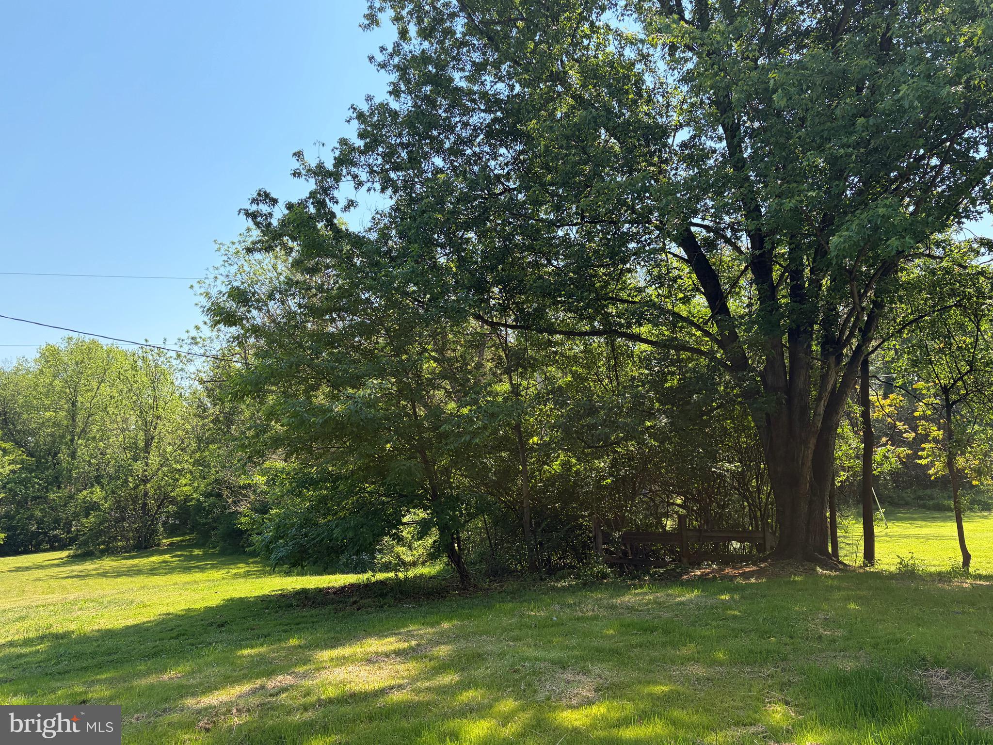 1801 Old Chapel Road Boyce, VA 22620 - Photo 16 of 31 Beautiful pastureland Dotted with Mature Trees
