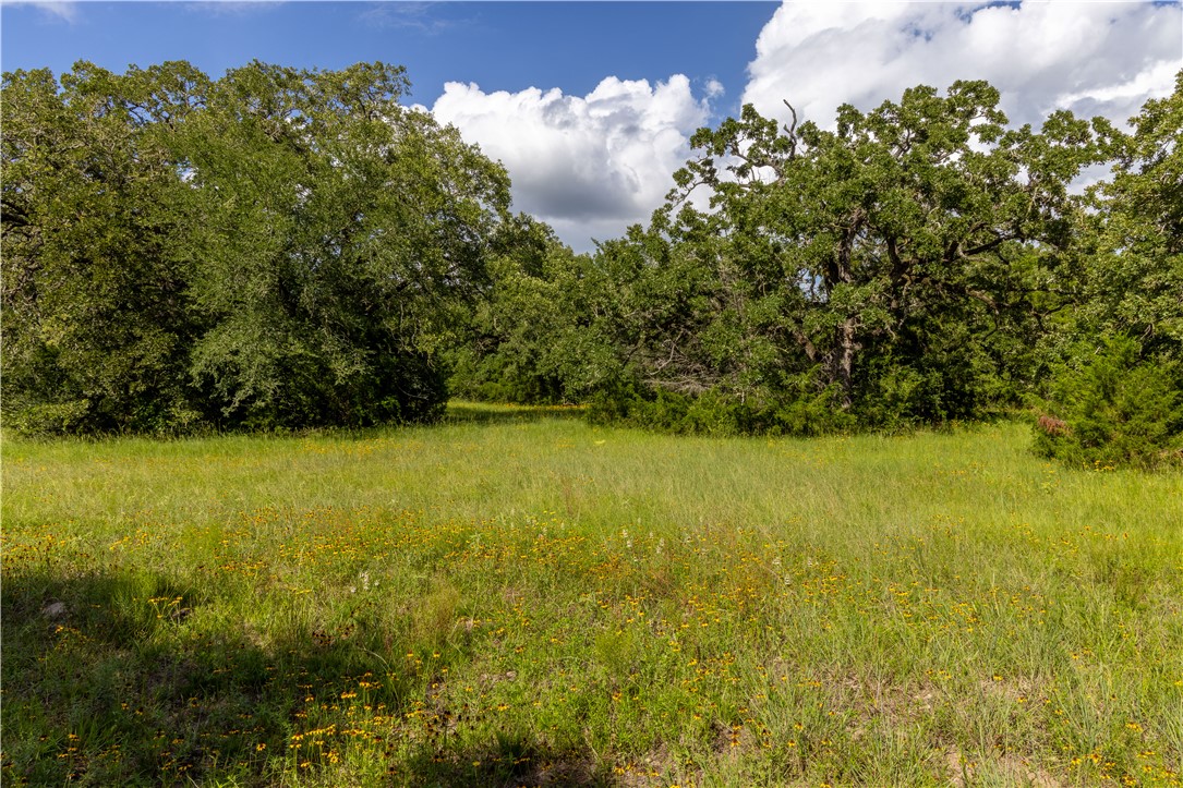 10102 Ferrill Creek Road Bryan, TX 77808 - Photo 7 of 29