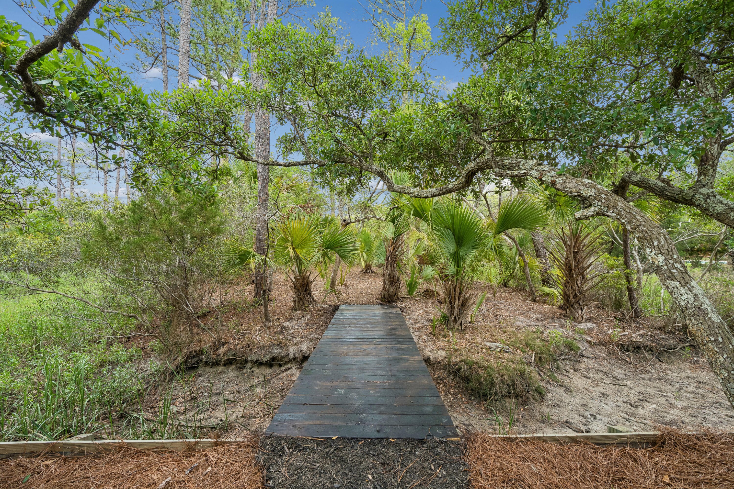 2 Red Sunset Lane Folly Beach, SC 29439 - Photo 100 of 122 2RedSunsetLn-KeenEyeMarketing-121