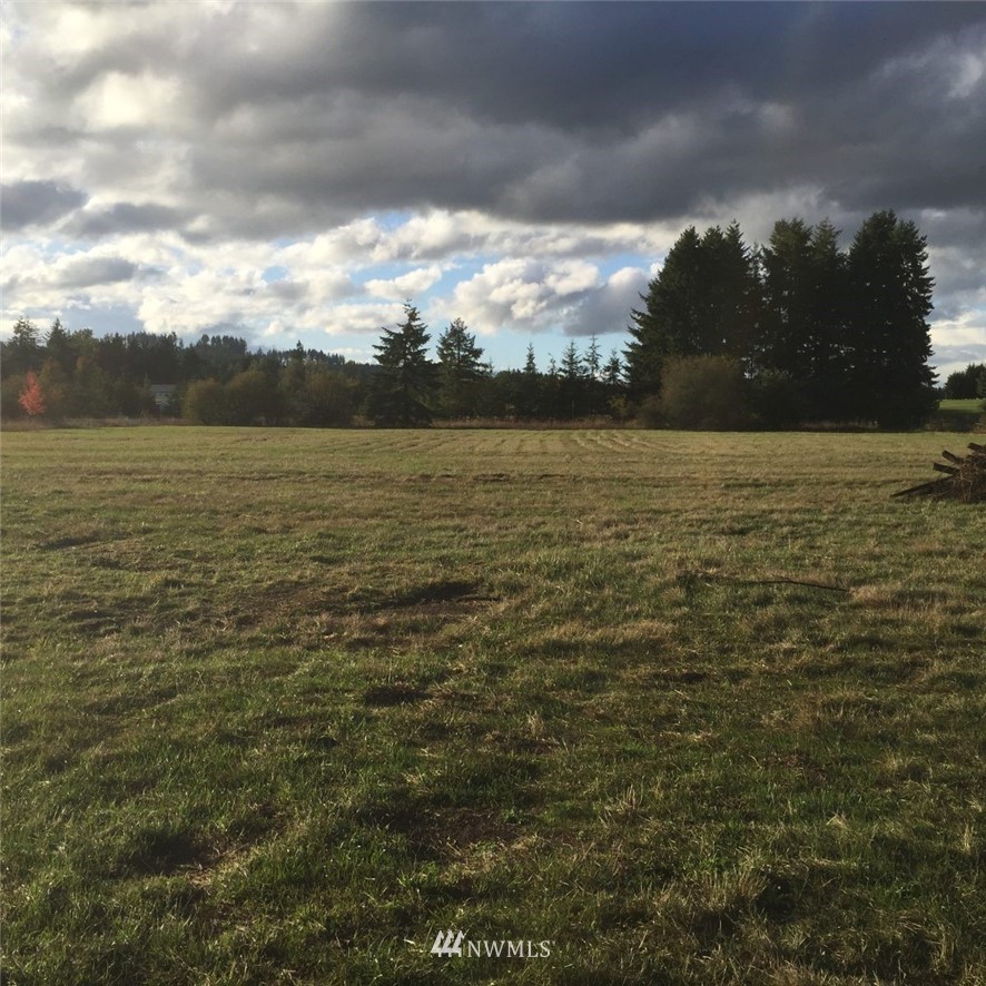 202 Pleasant Valley Road Winlock, WA 98596 - Photo 1 of 8