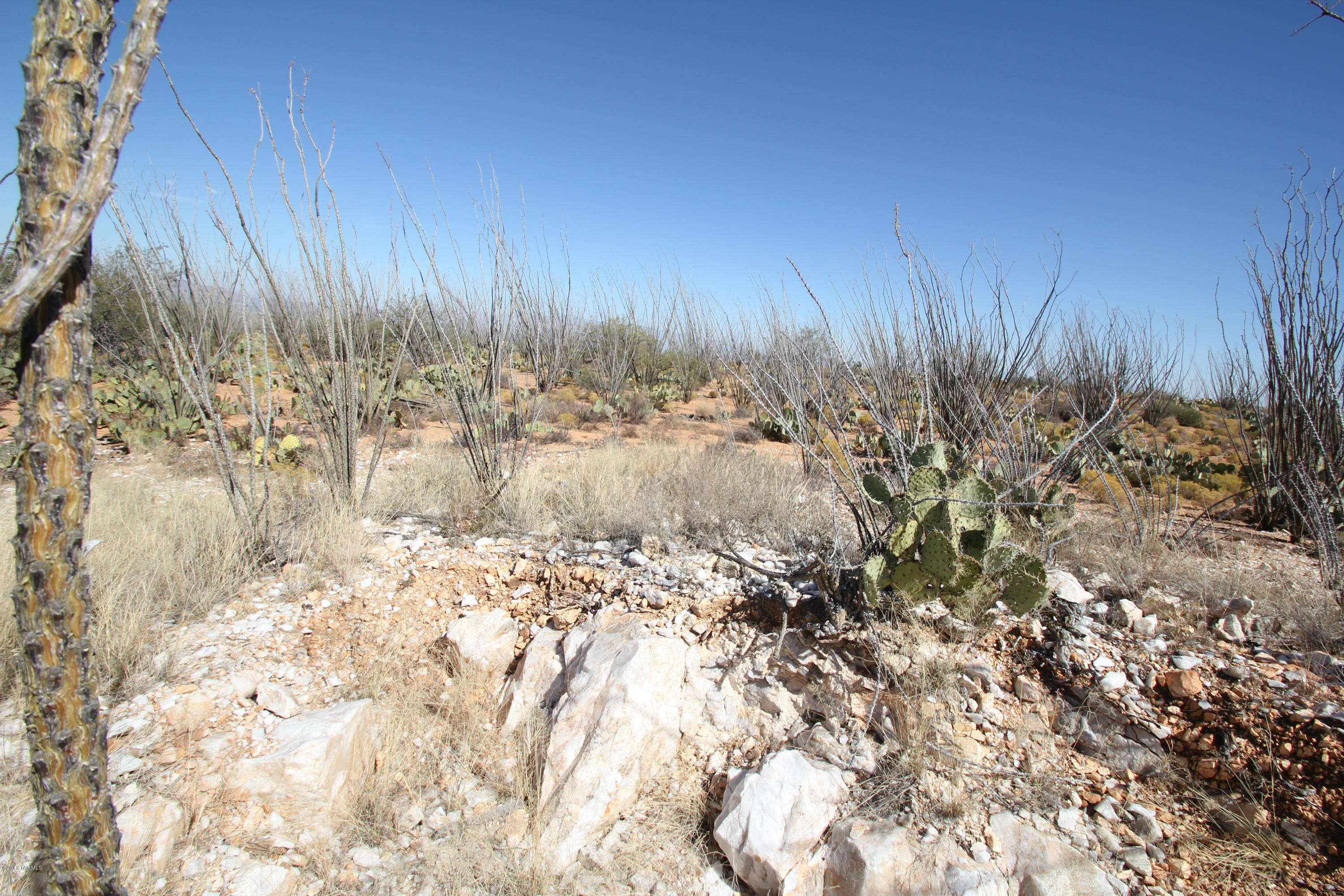 Pinto Road Sahuarita, AZ 85629 - Photo 17 of 17