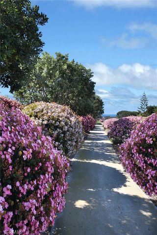 a view of a street with flower plants