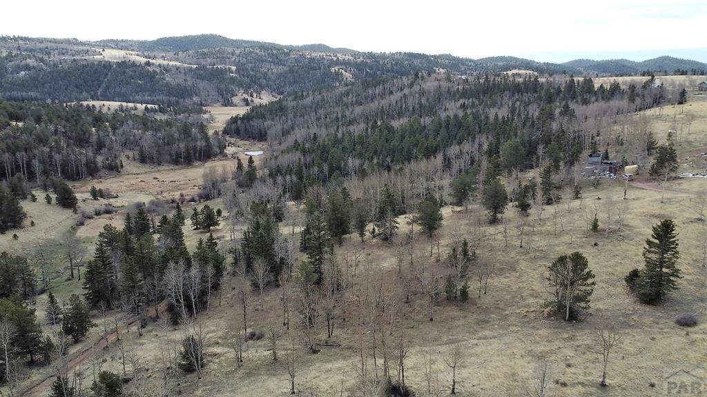 0 County Road Victor, CO 80860 - Photo 1 of 21