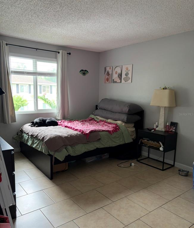 245 Red Maple Place Brandon, FL 33510 - Photo 10 of 19