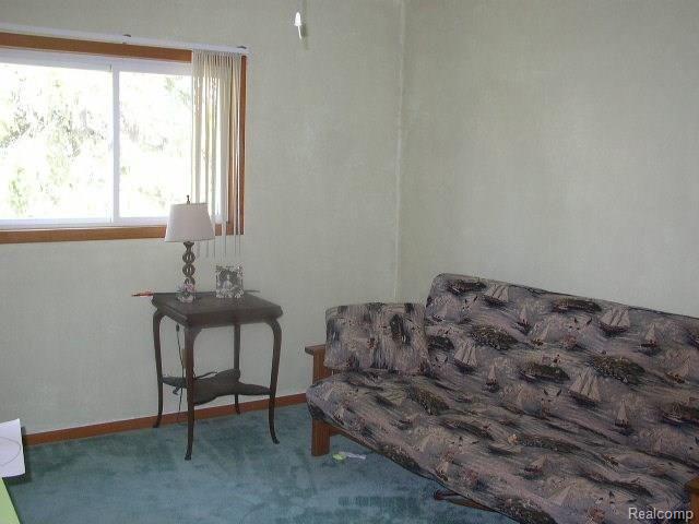 4341 Barnes Road North Branch, MI 48461 - Photo 30 of 40 Gallery Image 30