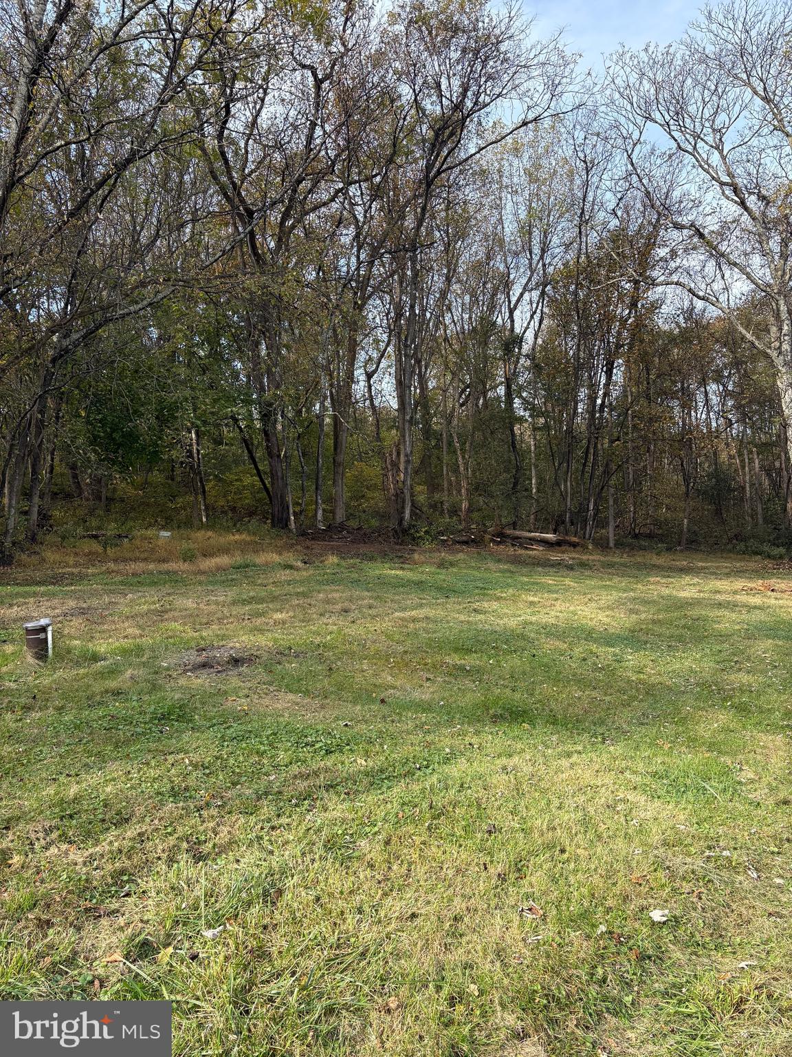a view of a field with a trees in the background