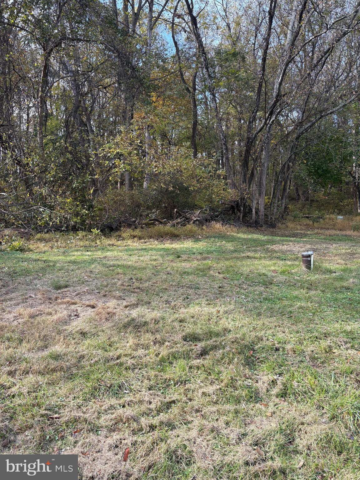 19150 Martinsburg Road Dickerson, MD 20842 - Photo 2 of 6 a backyard of a house with lots of green space