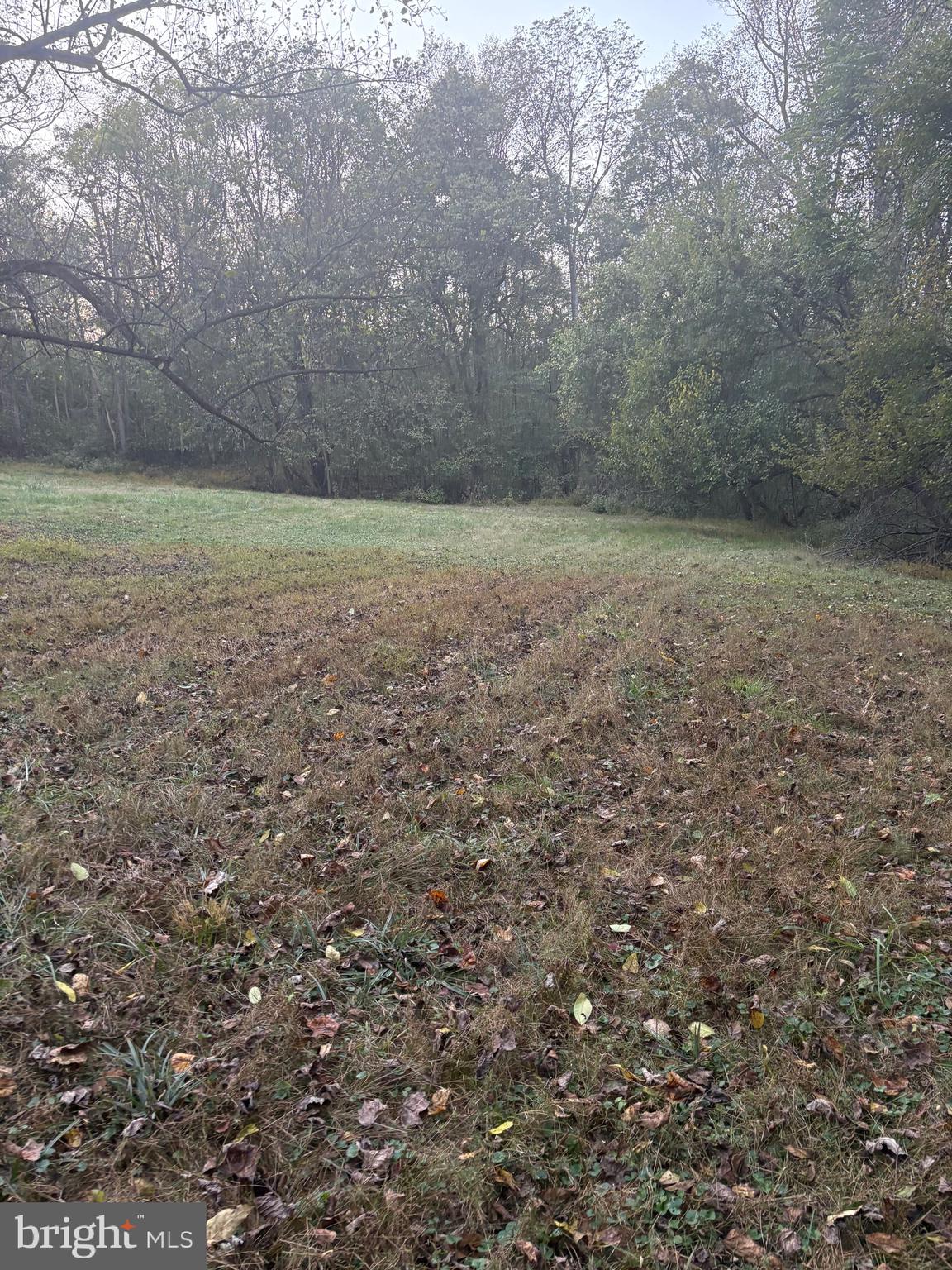 19150 Martinsburg Road Dickerson, MD 20842 - Photo 3 of 6 a view of a field with trees in background