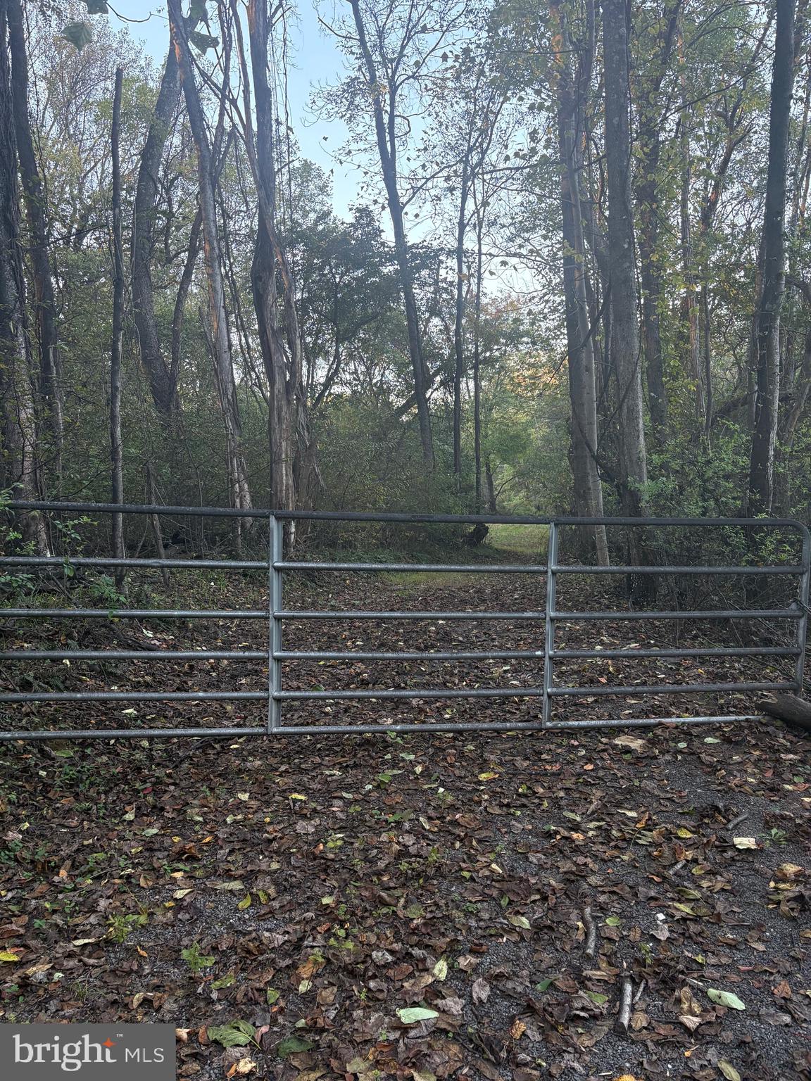19150 Martinsburg Road Dickerson, MD 20842 - Photo 6 of 6 a view of a yard