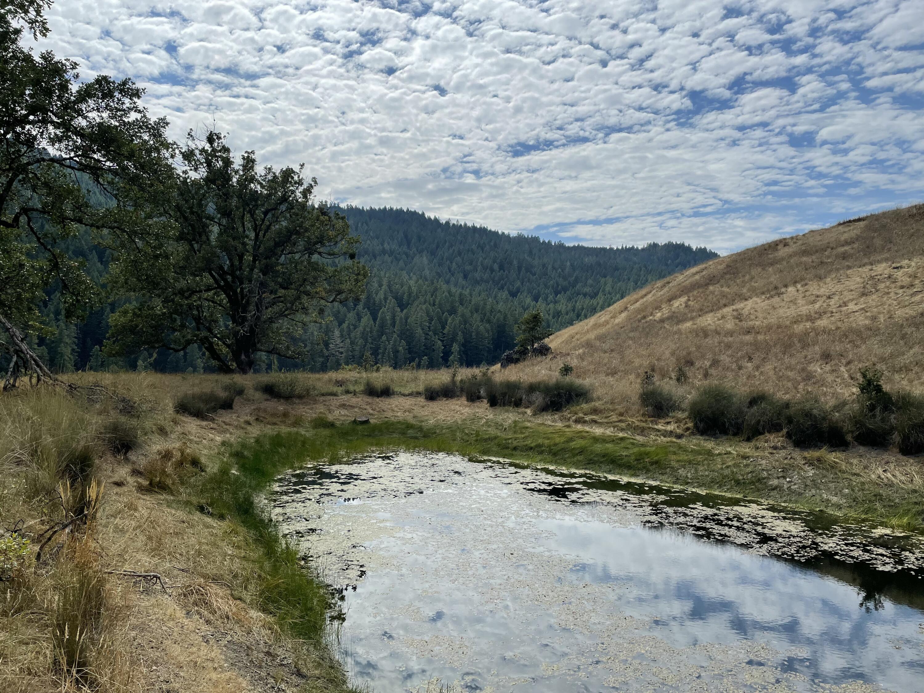 40-acres 40-acres Ridge Road Mad River, CA 95526 - Photo 2 of 28