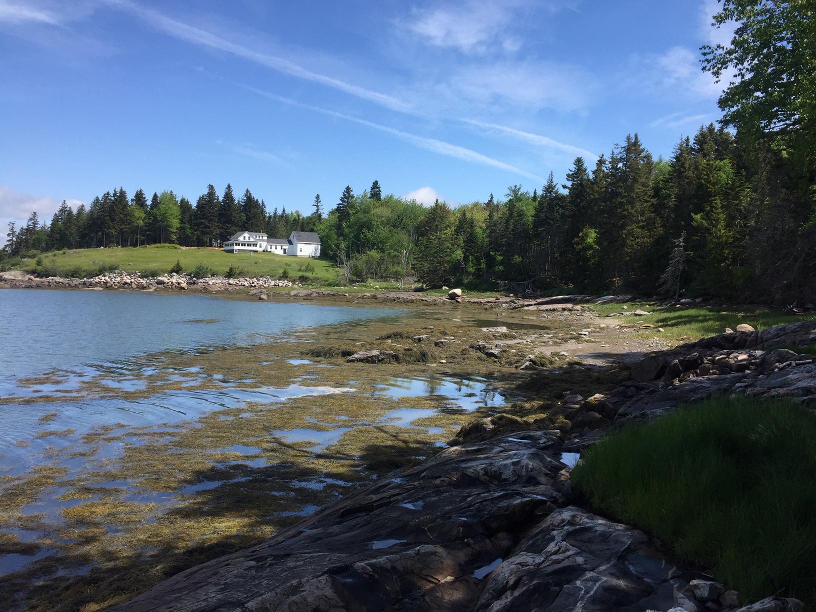 563 Rays Point Road Milbridge, ME 04658 - Photo 8 of 13 IMG_5177