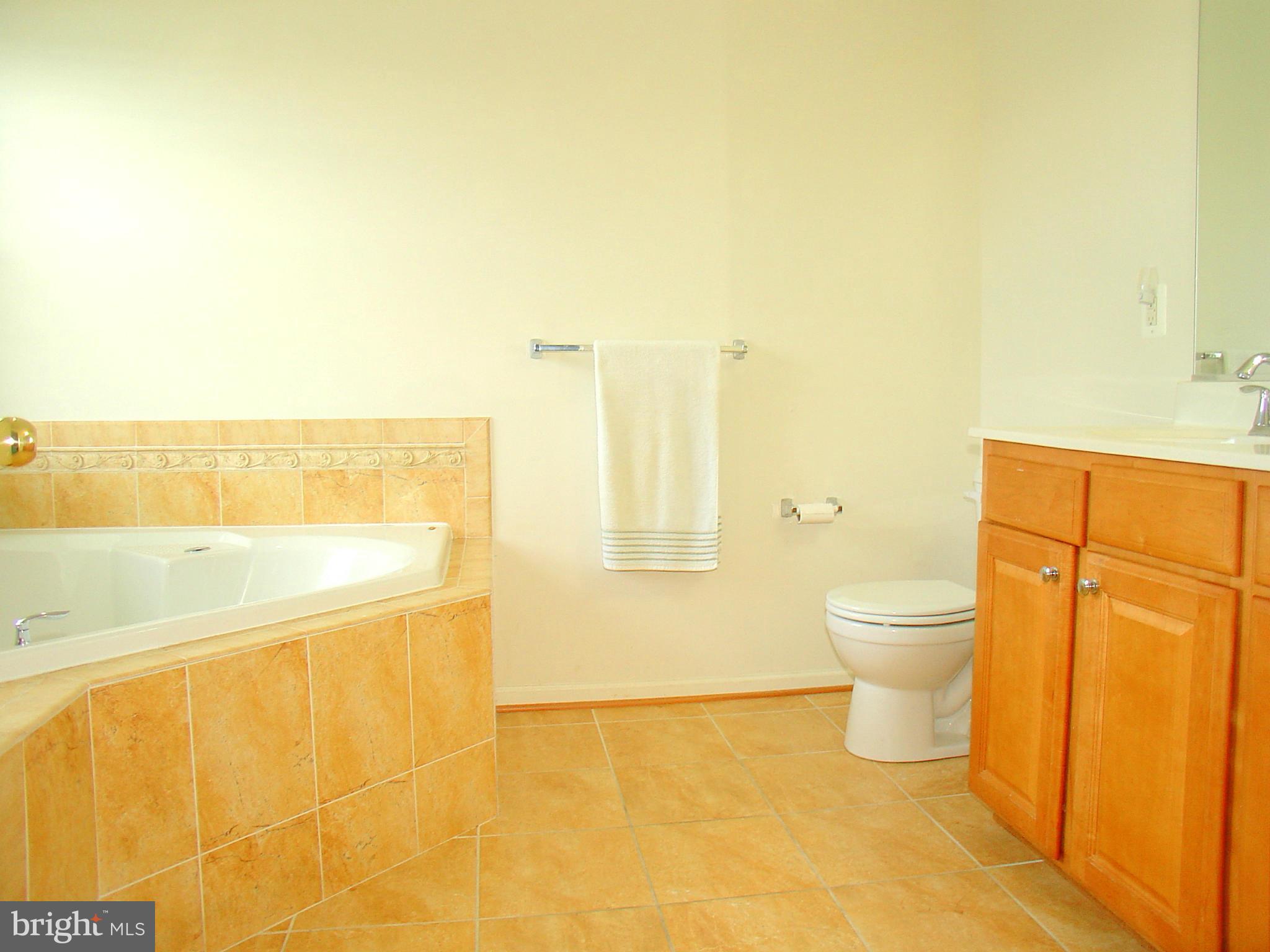 9707 Davison Road Baltimore, MD 21220 - Photo 18 of 29 Bath (Master)