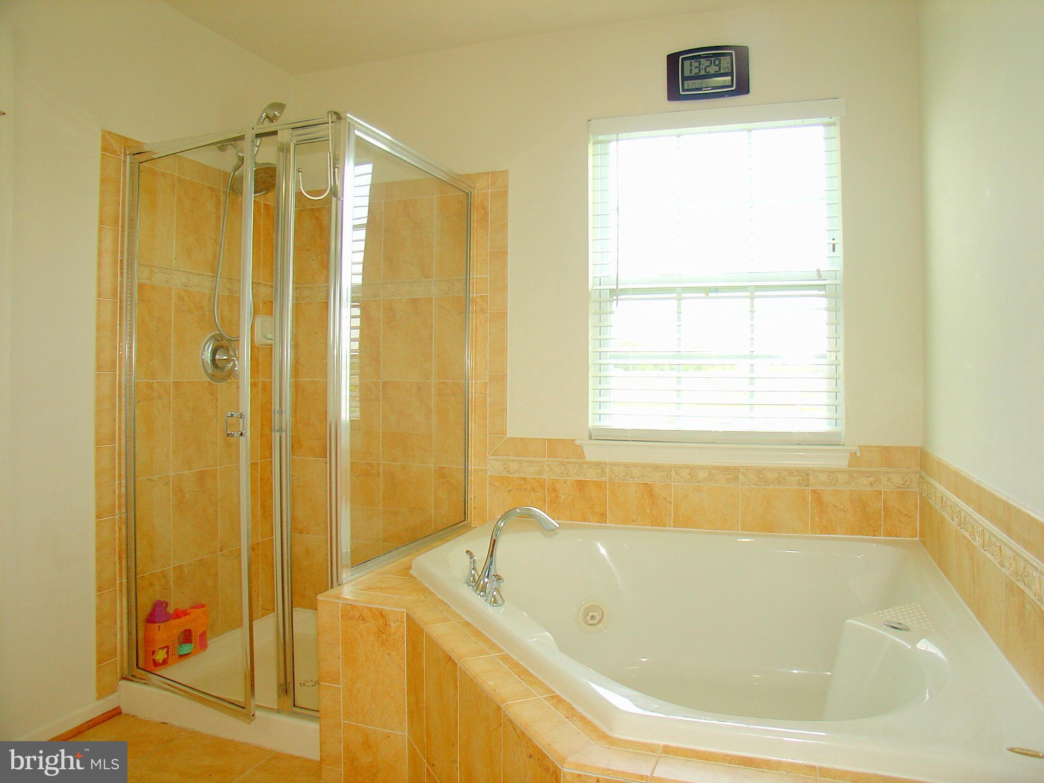 9707 Davison Road Baltimore, MD 21220 - Photo 19 of 29 Bath (Master)