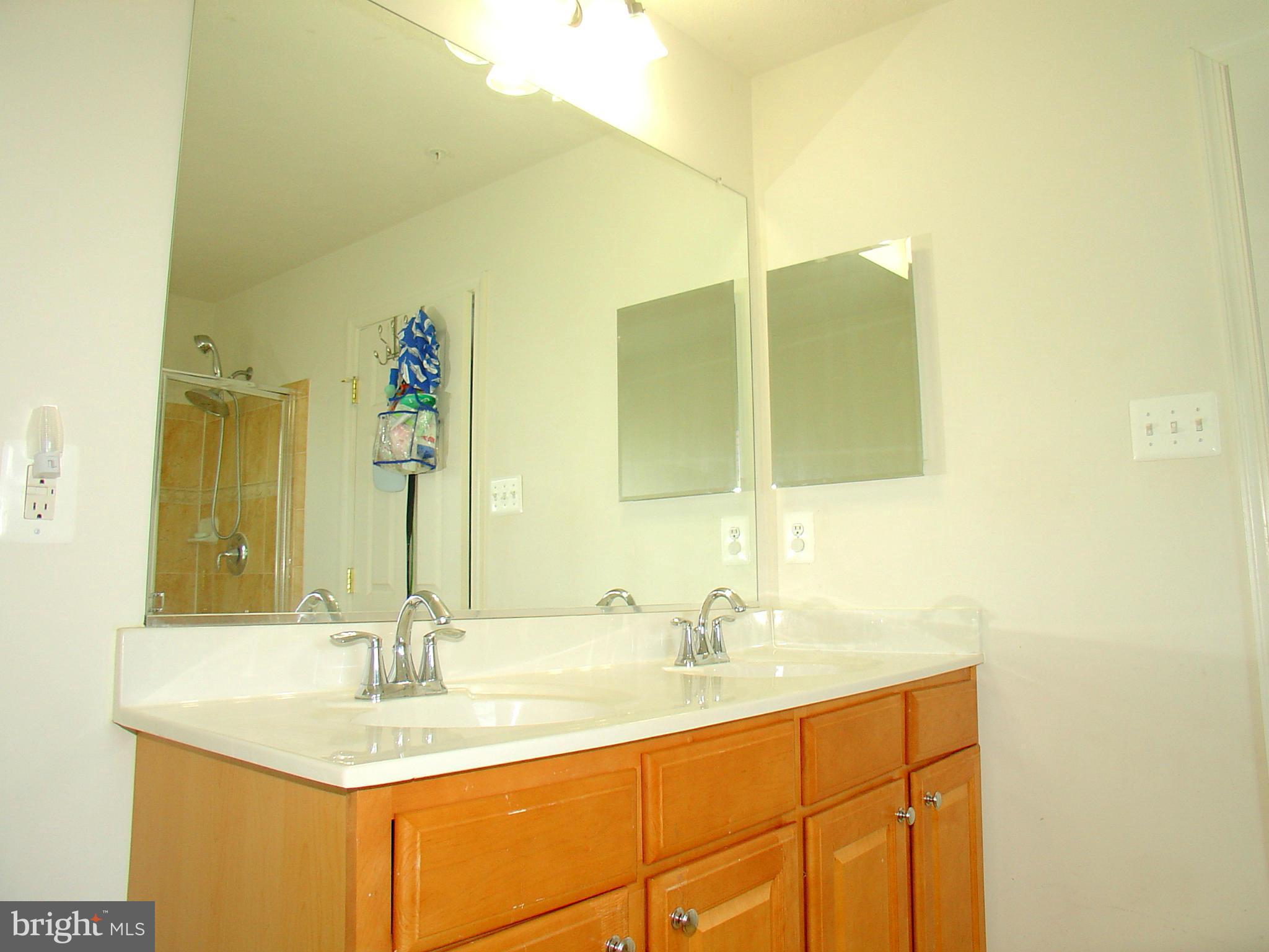 9707 Davison Road Baltimore, MD 21220 - Photo 20 of 29 Bath (Master)