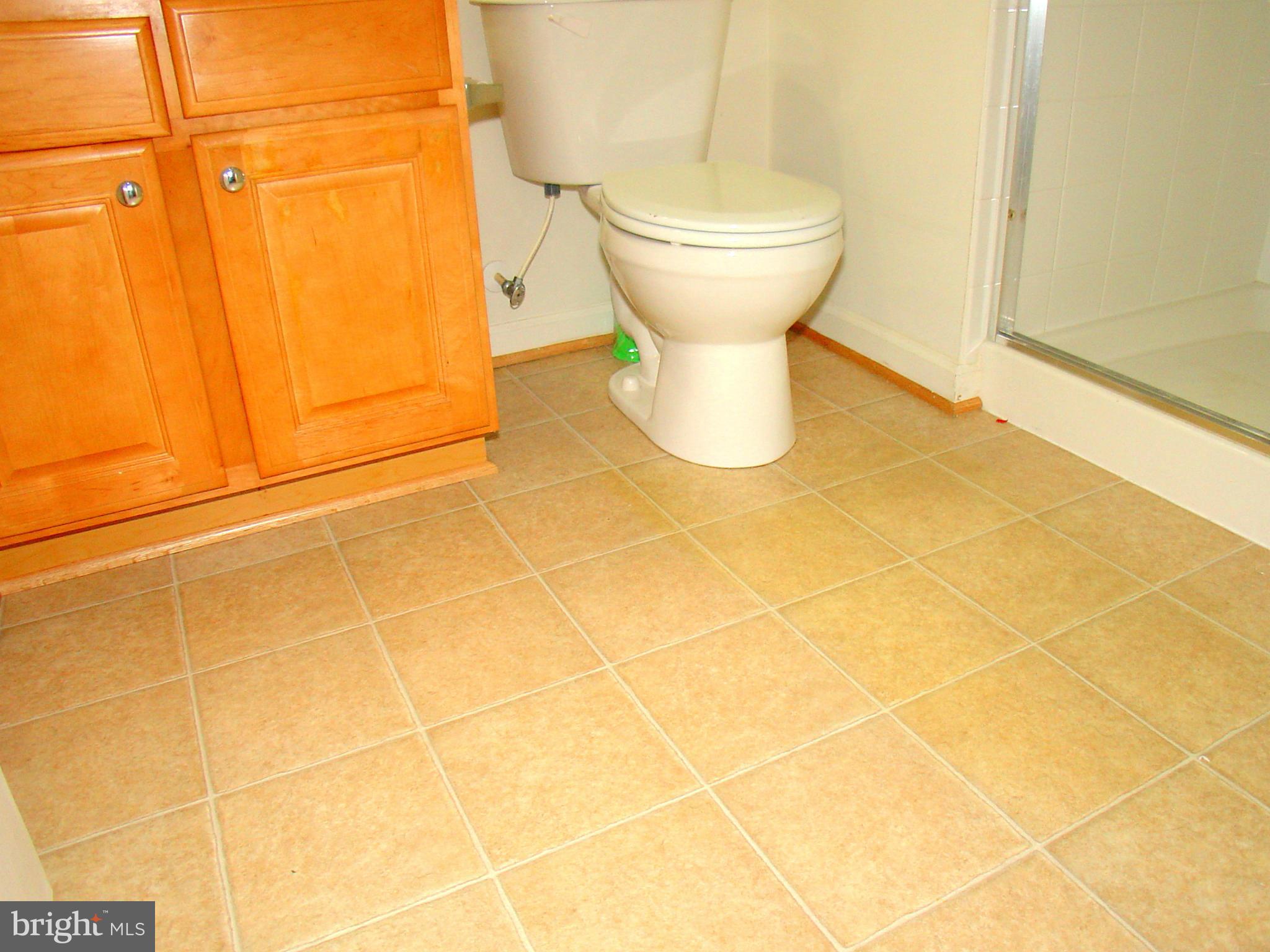9707 Davison Road Baltimore, MD 21220 - Photo 26 of 29 Bath