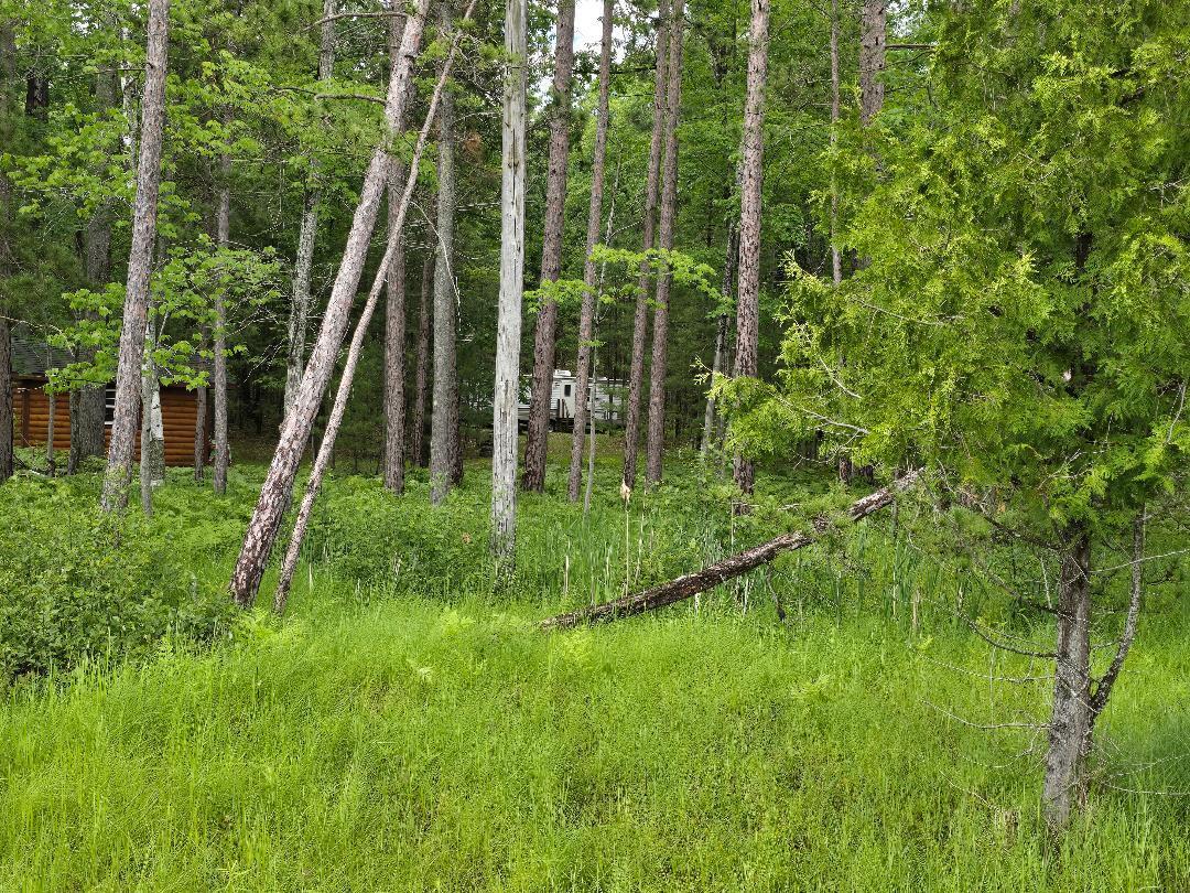 8826 Lake May Road Hawks, MI 49743 - Photo 19 of 20 Gallery Image 19