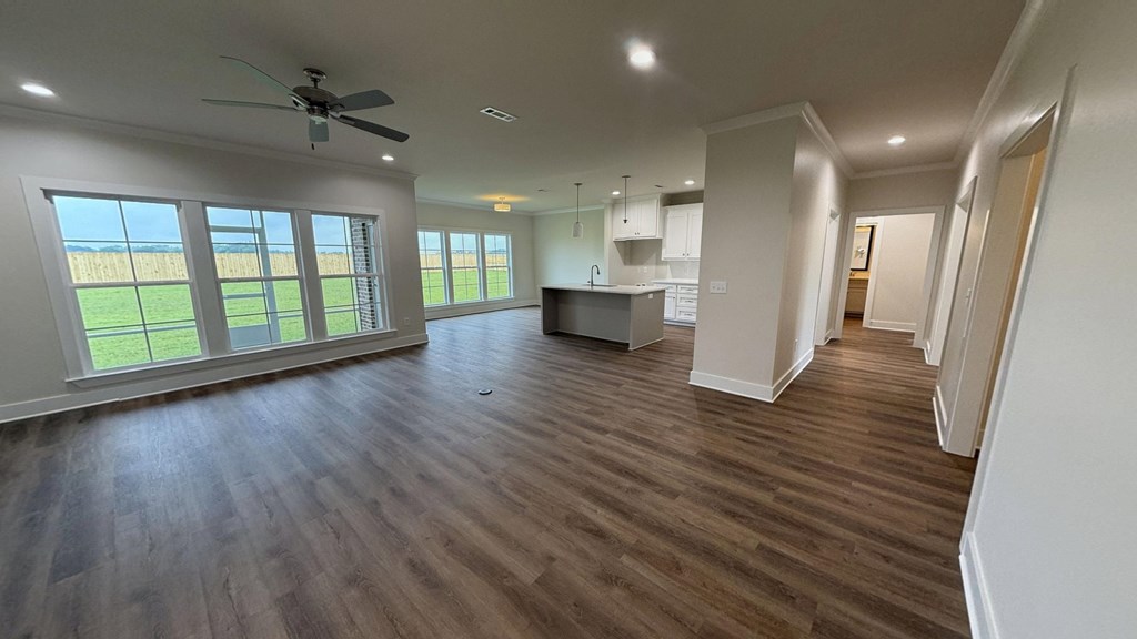 295 Adkinson Road Newton, AL 36352 - Photo 11 of 13