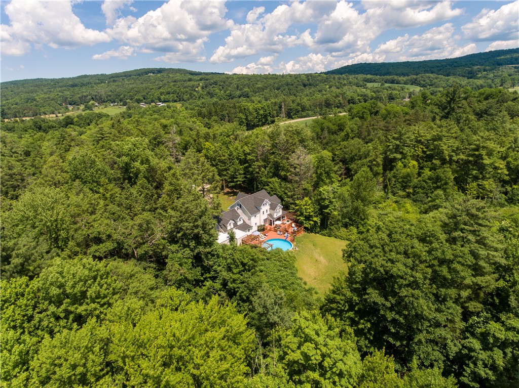 2274 Millport Hill Road Veteran, NY 14864 - Photo 35 of 48