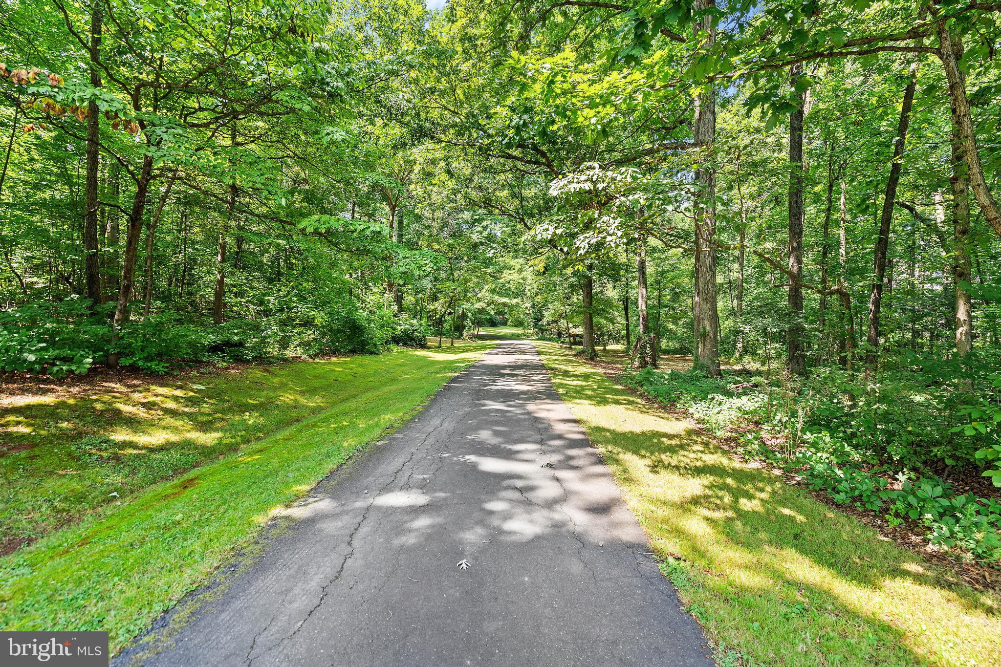 16014 Braggs Corner Road Culpeper, VA 22701 - Photo 2 of 43 Driveway