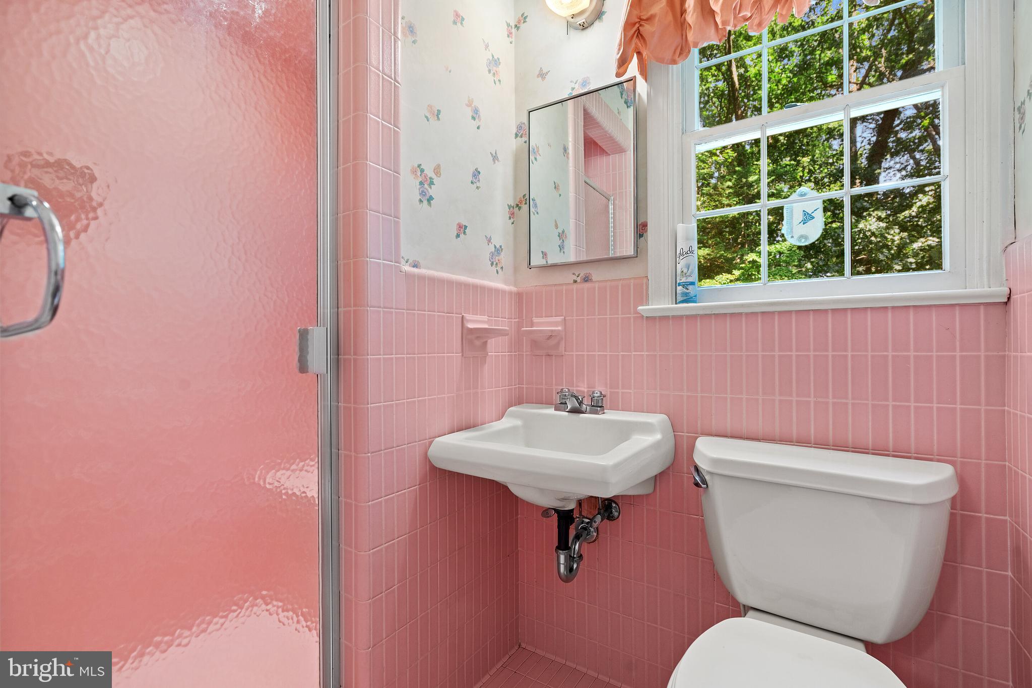 16014 Braggs Corner Road Culpeper, VA 22701 - Photo 28 of 43 Primary bathroom