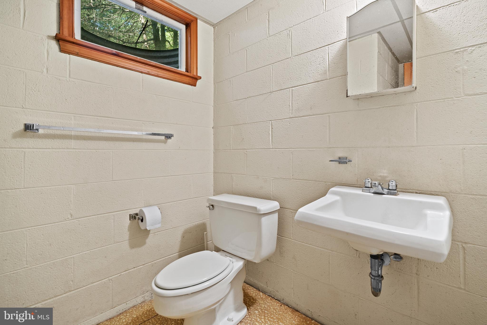 16014 Braggs Corner Road Culpeper, VA 22701 - Photo 36 of 43 Basement bathroom