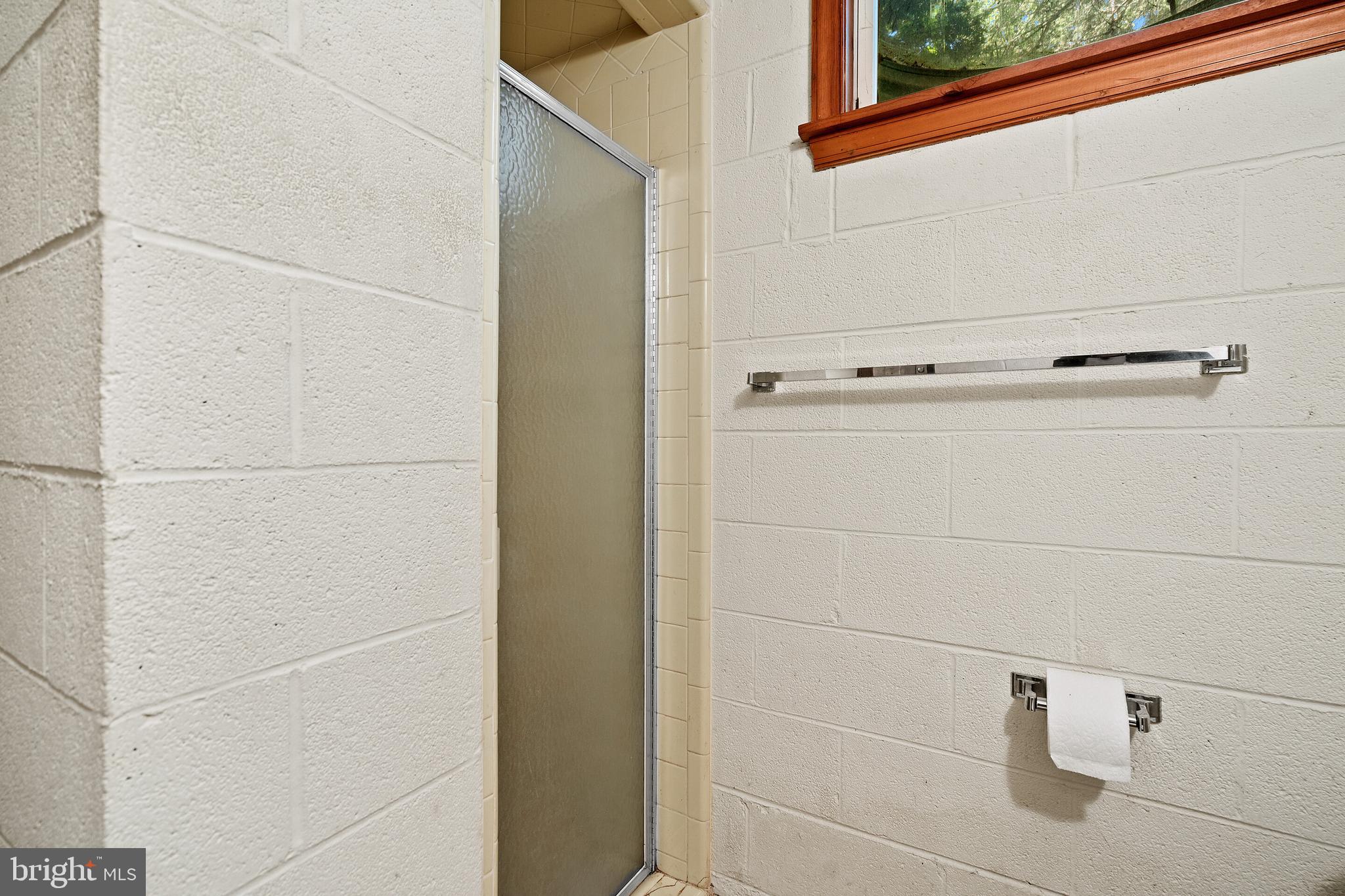 16014 Braggs Corner Road Culpeper, VA 22701 - Photo 37 of 43 Basement bathroom