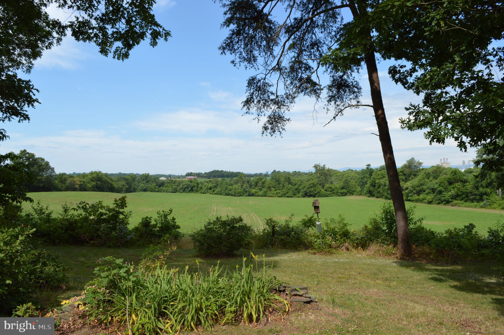 16014 Braggs Corner Road Culpeper, VA 22701 - Photo 43 of 43 View from rear of home