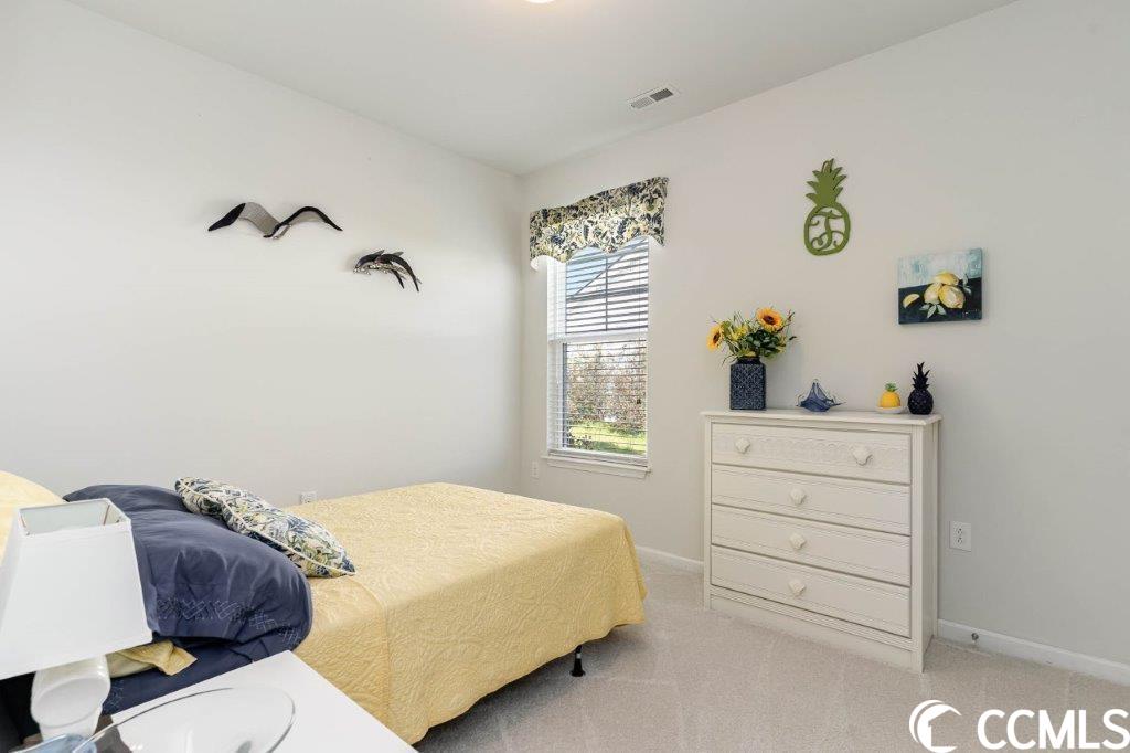 207 Shady Arbor Loop Longs, SC 29568 - Photo 19 of 40 Gallery Image 19