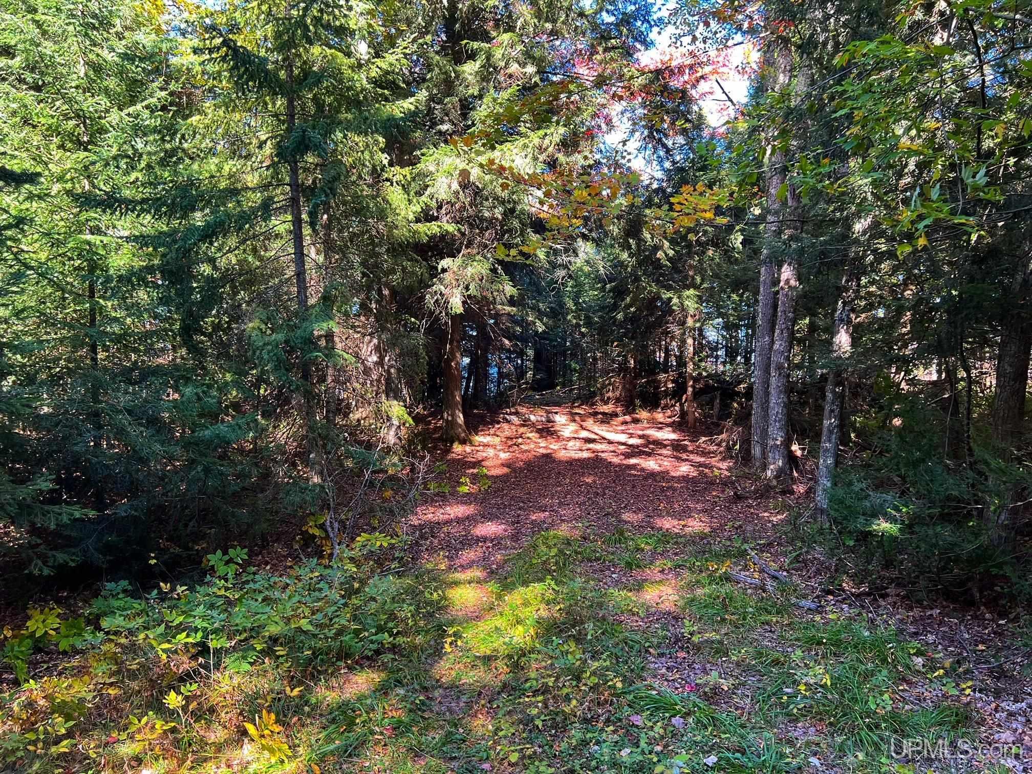 48523 Lots Road Toivola, MI 49965 - Photo 10 of 18 Gallery Image 10