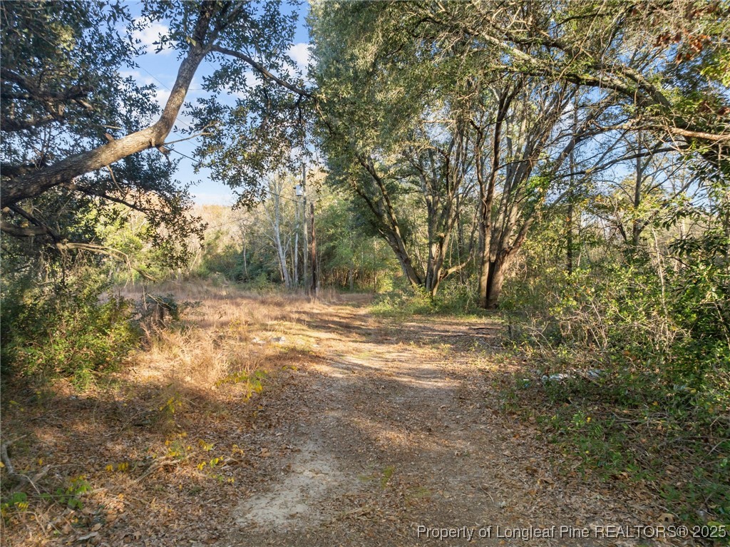 a view of a yard with a tree