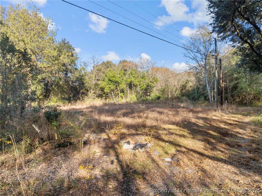 Doby Drive Raeford, NC 28376 - Photo 4 of 13 a view of a yard